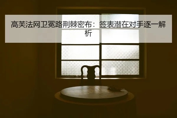 gao-fu-fa-wang-wei-mian-lu-jing-ji-mi-bu-qian-biao-qian-zai-dui-shou-zhu-yi-jie-xi-2-271.jpg