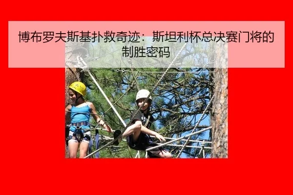博布罗夫斯基扑救奇迹：斯坦利杯总决赛门将的制胜密码
