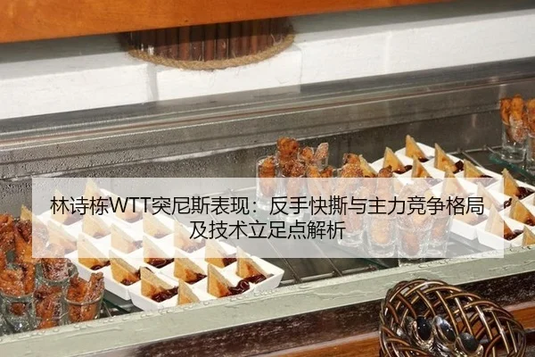 林诗栋WTT突尼斯表现：反手快撕与主力竞争格局及技术立足点解析