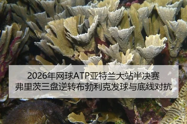 2026年网球ATP亚特兰大站半决赛弗里茨三盘逆转布勃利克发球与底线对抗